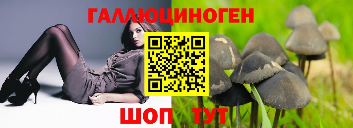 Галлюциногенные грибы прущие грибы Будённовск